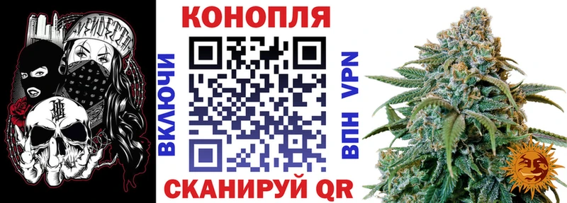 блэк спрут зеркало  Фокино  Бошки марихуана OG Kush 